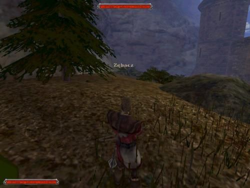Gothic 2 000258,5